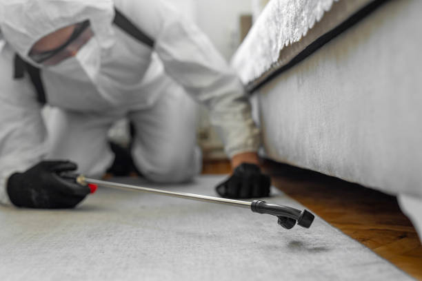 Professional Termite Control technician working in New Market, MD