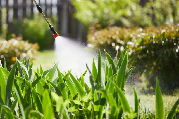 24/7 Emergency Termite Control experts in New Market, MD
