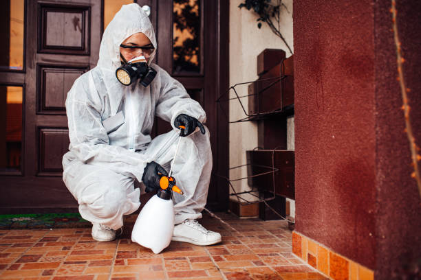 Reliable Termite Control contractor in New Market, MD by Nex Pest Control