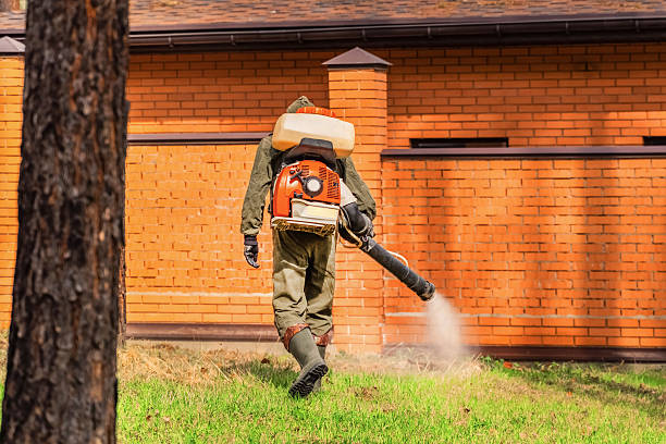 Trusted Termite Control service in New Market, MD - Nex Pest Control
